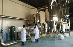 芸洁磨及中药材超细粉加工示范