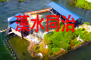 藻水同治关键技术和研发应用 